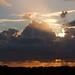 Dawn Hart Photo 39