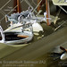 Landon Lewis Photo 2
