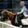 Edward Krause Photo 33