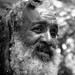Albert Temes Photo 5