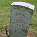 Patrick Mcgee Photo 19
