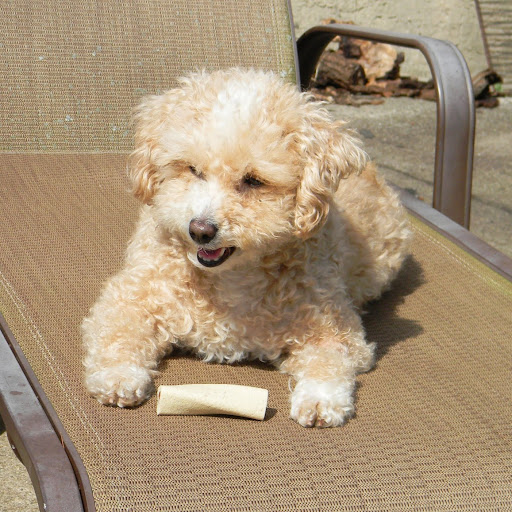 Candy Tuttle Photo 5