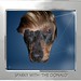 Donald Wiener Photo 14