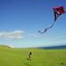 Thomas Kite Photo 14