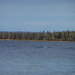 Jeanette Meadows Photo 10