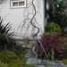 Michele Cary Photo 15