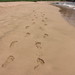 Lorie Waters Photo 15