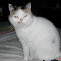 Lila Roberts Photo 15