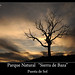Heriberto Flores Photo 14