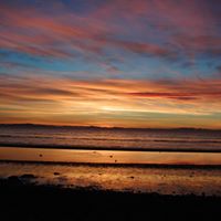 Joann Sutton Photo 13