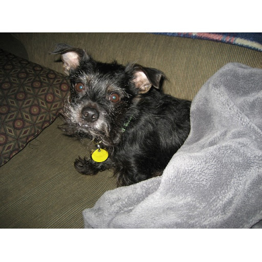 Rhonda Johnson Photo 12