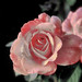Rose Houston Photo 29
