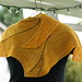 Melinda Kohler Photo 7