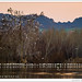 Jorge Talavera Photo 14
