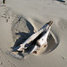 Nathaniel Beach Photo 6
