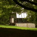 Philip Wiley Photo 18