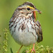 Craig Hendricks Photo 13