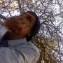 German Becerra Photo 13