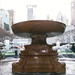 Josephine Platt Photo 8