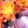 Patricia Short Photo 31