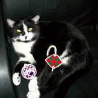 Mary Macgregor Photo 22