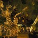 Rose Mills Photo 27