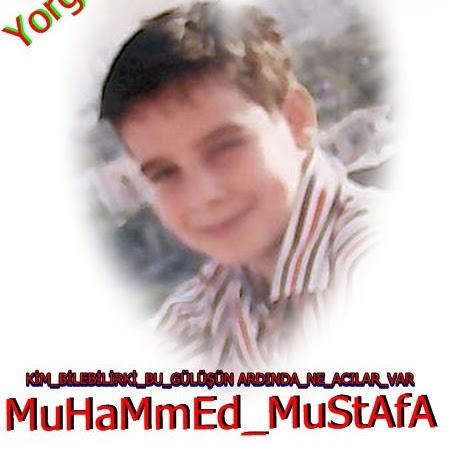 Muhammed Mustafa Photo 7