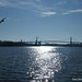 Wayne Bridges Photo 23