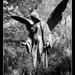 Joseph Richter Photo 21