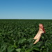 Joy Rios Photo 6