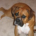 Connie Foster Photo 22