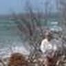 Phyllis Dobson Photo 2