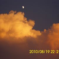 Douglas Underwood Photo 28