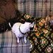 John Speck Photo 40