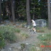 James Dauber Photo 15
