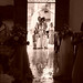Nancy Andrews Photo 13