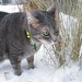 Marsha Winters Photo 19