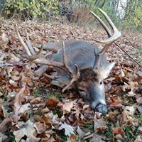 Matthew Olson Photo 35