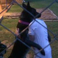 Holly Bozeman Photo 9