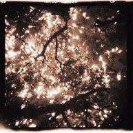 Robin Peeples Photo 23