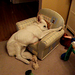 Jack Shepherd Photo 35