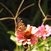 Ruth Marcum Photo 15