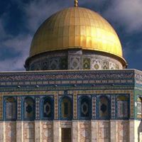 Mohammed Beshir Photo 8