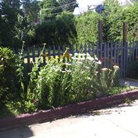 Ann Ebert Photo 26