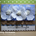 Heather Kraft Photo 10