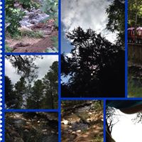 Joyce Coffman Photo 16
