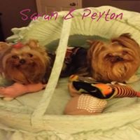 Brenda Shuler Photo 18