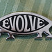 Charles Fish Photo 10
