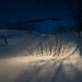 Geoffrey Miller Photo 36