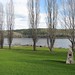 Harold Mann Photo 30